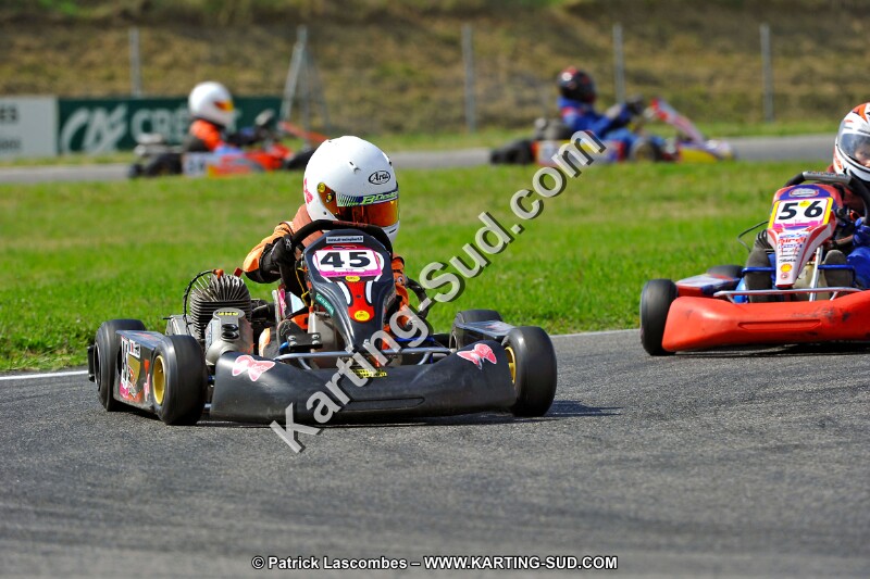 DSC_ (662).jpg